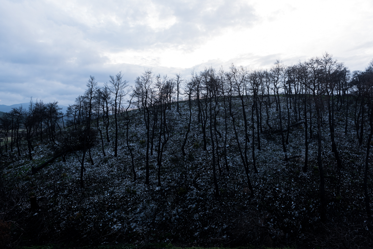 Kirinthos. Wegen der Brände und der verbrannten Bäume hat die Erosion die Felsen freigelegt, die bis dahin unter der Erde lagen.