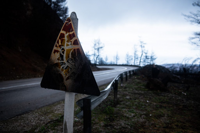 The road to Agia Anna. A burned road sign.