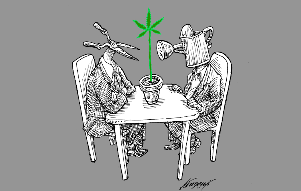 Nerilicon_Cannabis_Debate