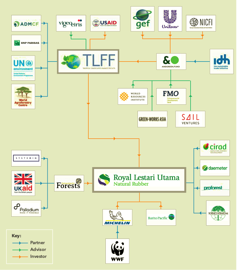 Royal Lestari Utama’s partners, investors and advisors. | Source : Mighty Earth 