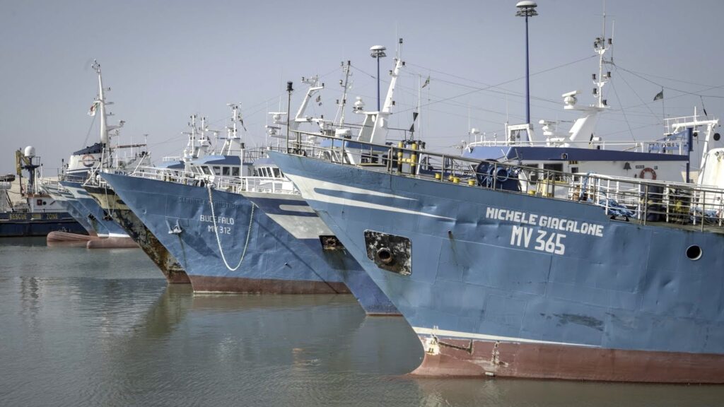 Fishing boats moored in the port of Mazara del Vallo, Sicily. | Photo: ©Davide Mancini