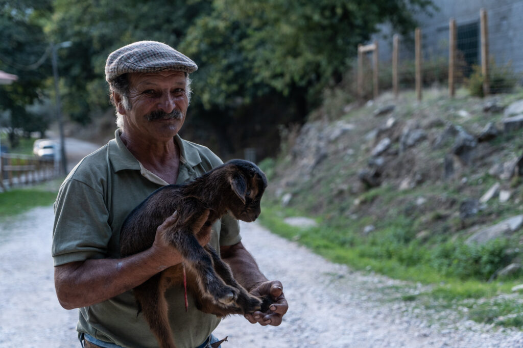Davide Mancini Eucalyptus Portugal Deforestation Man stands with goat