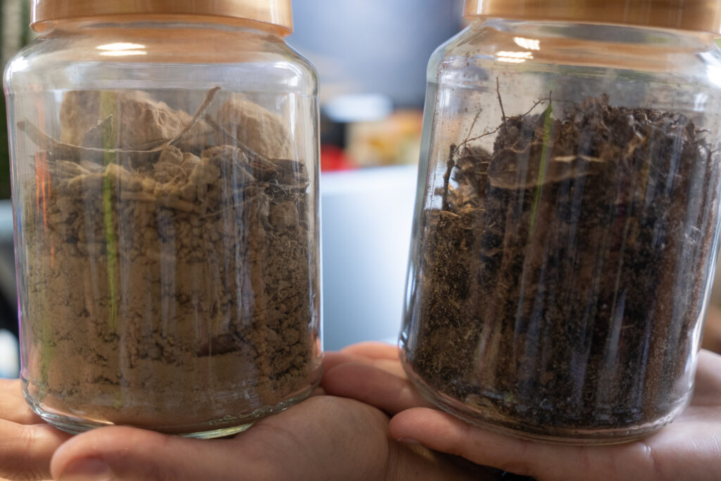 Davide Mancini Eucalyptus Portugal deforestation jar of dirt