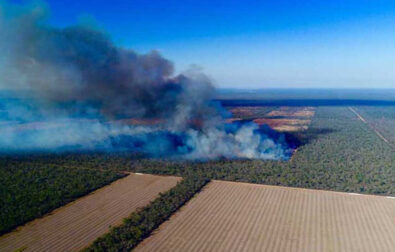 Chaco fire deforestation