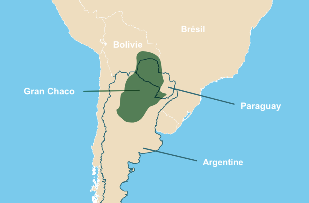 L'éco-région du Gran Chaco. | ©Mighty Earth
