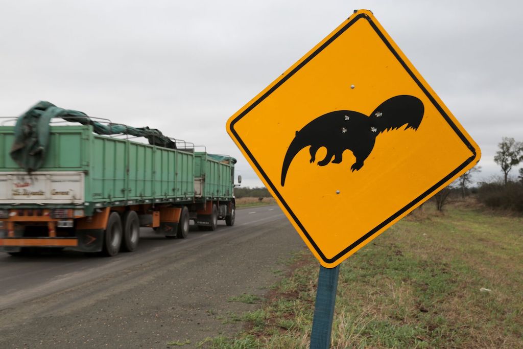 A road sign in the Chaco ecoregion, in Argentina. Photo: ©Jim Wickens/Ecostorm, via Mighty Earth