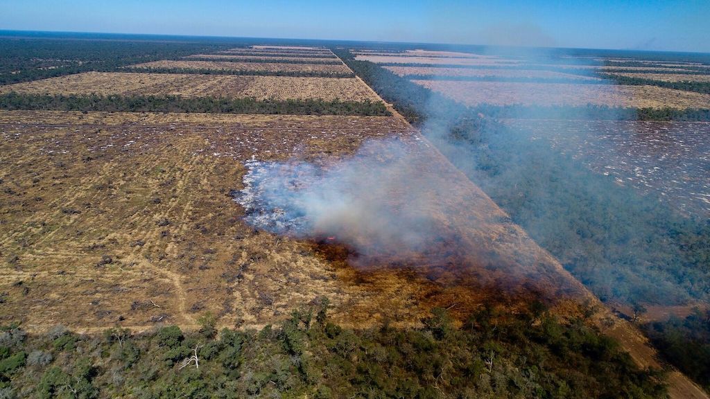 Illegally burned land for making room for soy culture in the Argentinian Chaco region. ©Jim Wickens/Ecostorm via Mighty Earth.