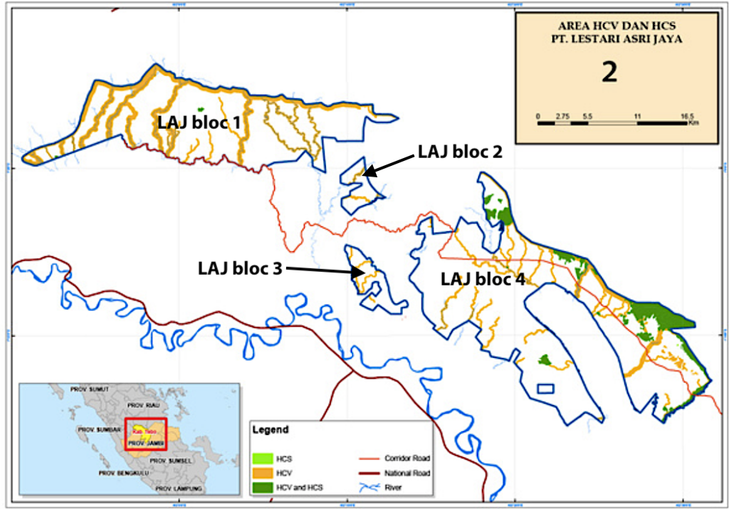 Carte des zones de stocks de carbone élevés (HCS, en vert clair), celles à haute valeurs de conservation (HCV, en jaune) et HCV et HCS et HCV (en vert foncé) dans la concession Lestari Asri Jaya. | Source: Tropenbos pour RLU