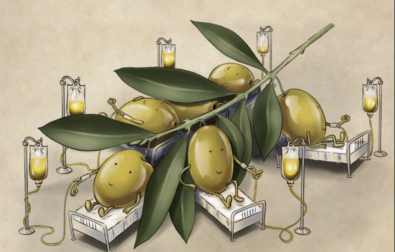 Osama Hajjaj - olive oil- voxeurop