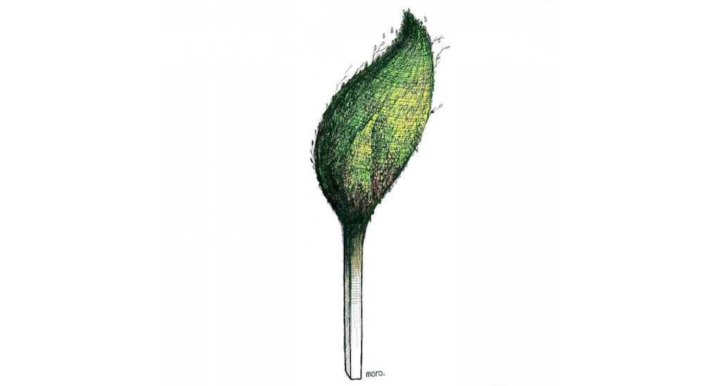 tree moro cartoonmovement