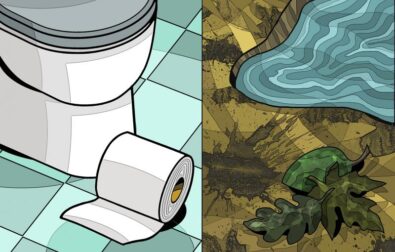 toilet_europe__enrico_bertuccioli-voxeurop