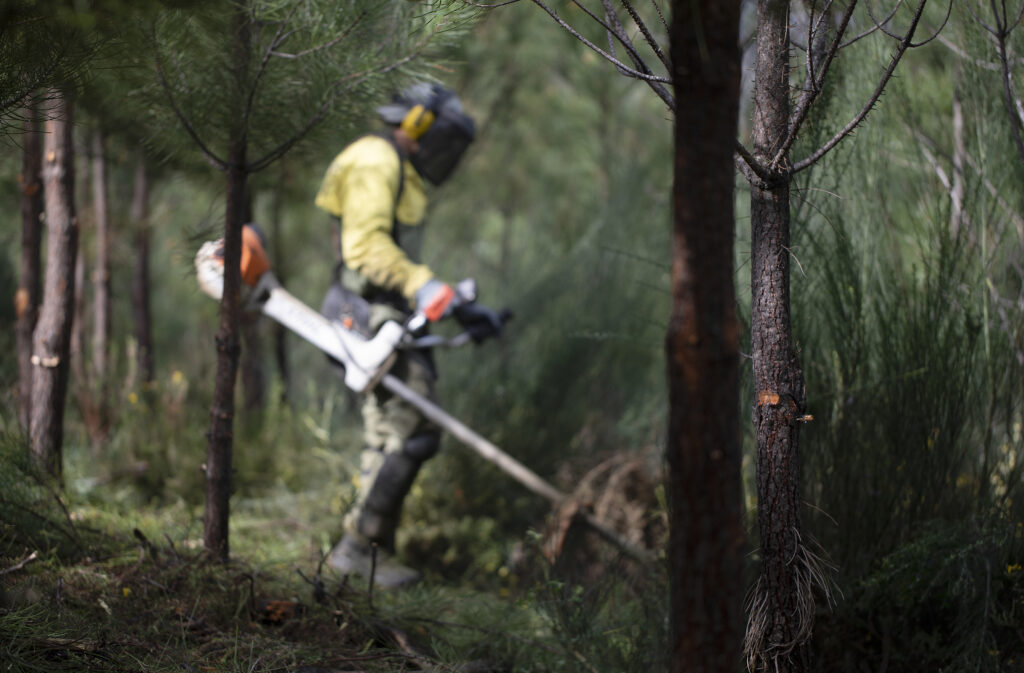 Abandonment is one of the major fire risks identified in a report by American experts following the fires at the Centro region in 2017. | Photo: ©JOSÉ SERGIO