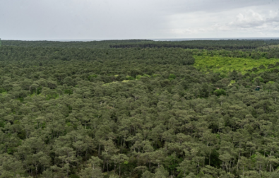Landes di benedetto Voxeurop