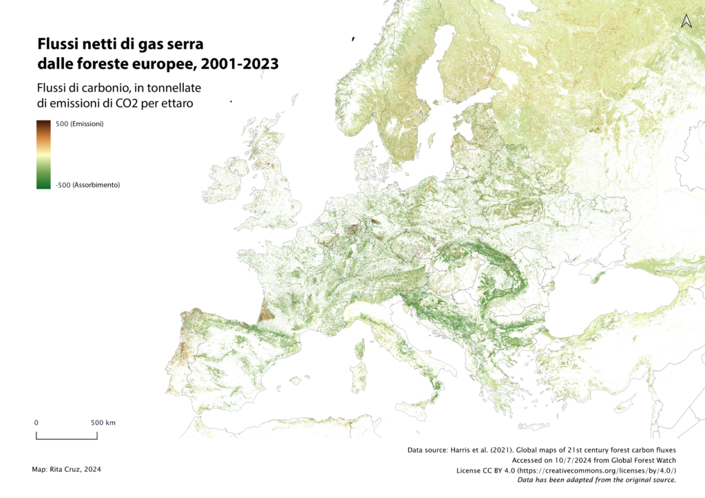 Flussi netti di gas serra delle foreste europee