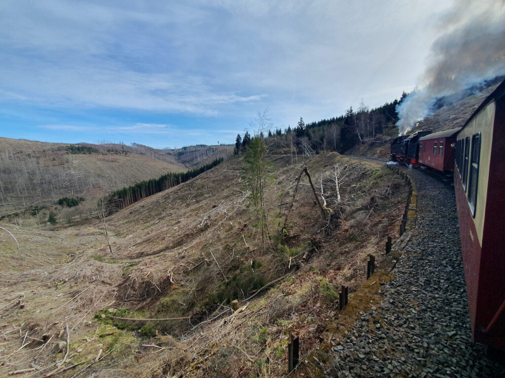 The dead forest seen from the railway line that crosses the Harz | Photo: © Kai Rüsberg