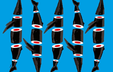 whale -ploux-voxeurop
