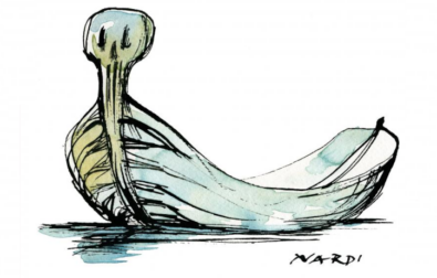 nardi voxeurop boat
