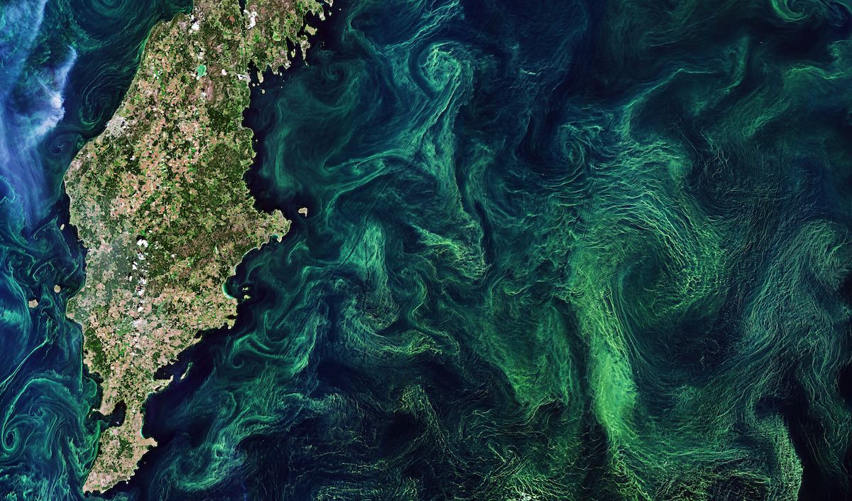 Photo Une mer Baltique  bout de souffle: entre prolifration d?algues, fermiers europens et politiques agricoles