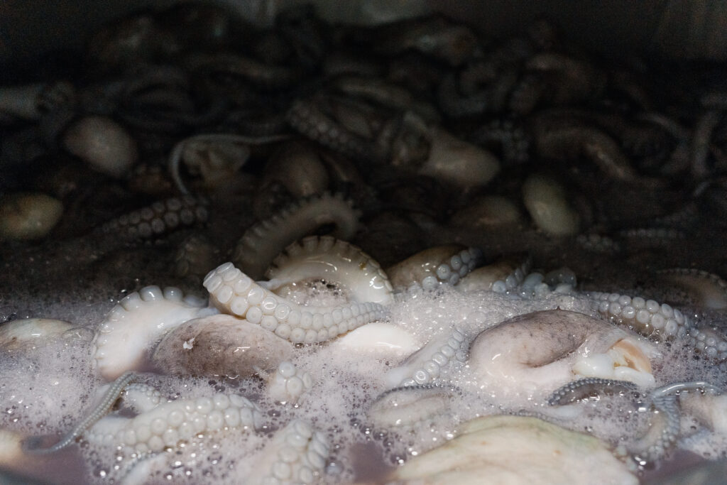 Octopus maya being washed and cooked for export in Yucatan, Mexico. l Photo: Paola Margu