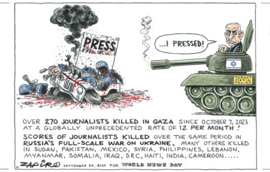 Zapiro Press Freedom Gaza
