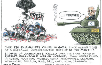 Zapiro Press Freedom Gaza