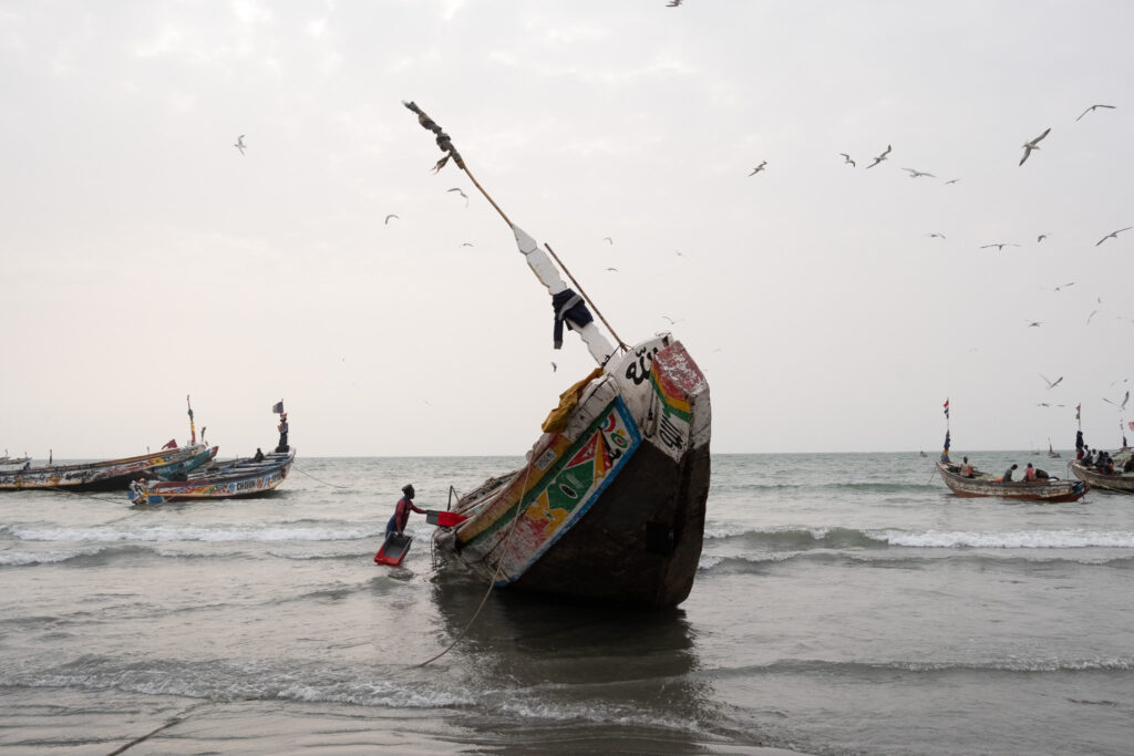 Si caricano le casse per il pesce su una piroga da pesca a Serrekunda, Gambia, marzo 2025. | Foto: ©Guy Peterson