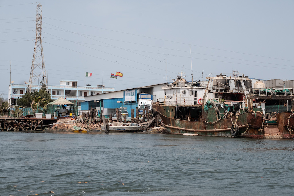 L'impianto di lavorazione del pesce Hansen a Banjul, Gambia, Marzo 2025. | Foto: ©Guy Peterson