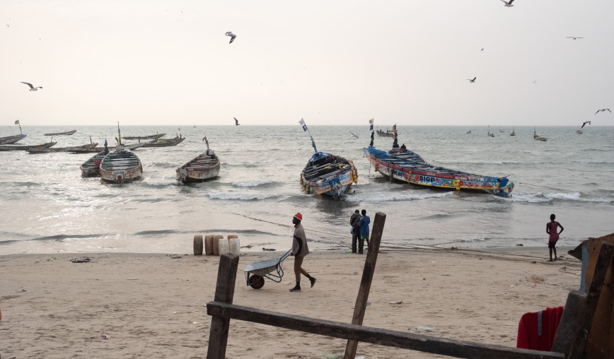 fish beach gambia