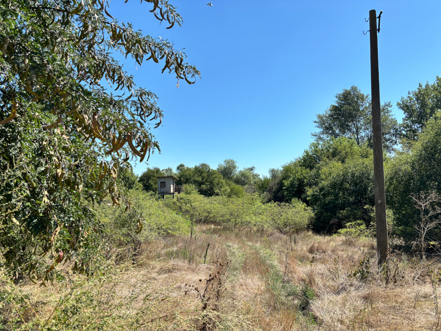 A watchtower on the island of Belene. | Photo: Francesca Barca