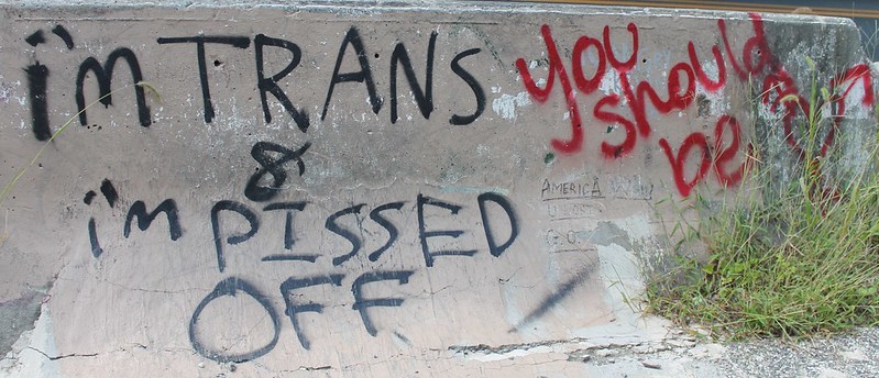 transphobia-voxeurop