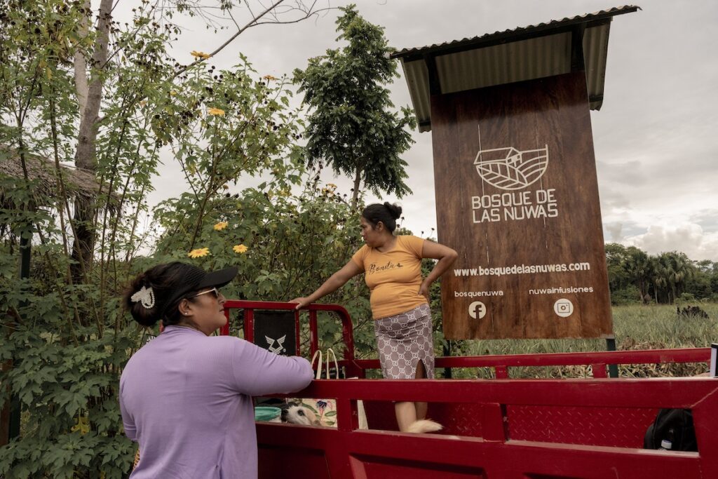 Flor de Maria Samajain Cumbia  and
Ludia Sejekam Wajai 
part of the in Bosque de la Nuwas project, Peru. 19 August 2025. Anita Pouchard Serra with the support of Journalism Fund.