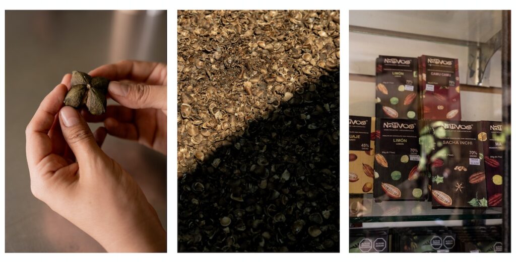 Diferentes estados de la planta: el fruto, la cáscara y una versión transformada en chocolate, en el departamento de San Martín, Perú. Agosto de 2025. Anita Pouchard Serra