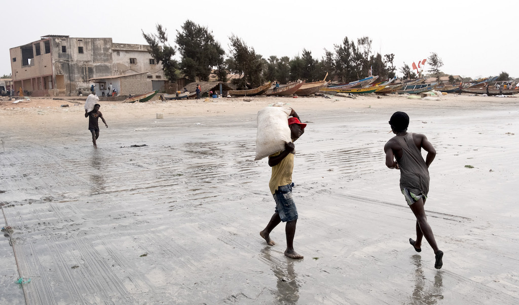 People bringing ice-filled sacks to the canoes readied for multi-day fishing trips in Tanji, The Gambia, March 2025. | Photo: ©Guy Peterson