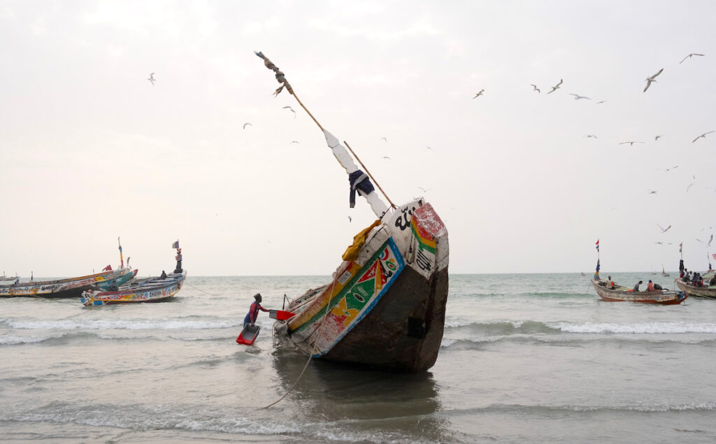 Loading boxes on a fishing pirogue in Serrekunda, The Gambia, March 2025. | Photo: ©Guy Peterson