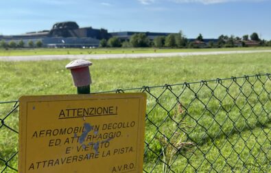 Ibis pronti al decollo dove gli aerei atterrano | Photo: Marta Abbà