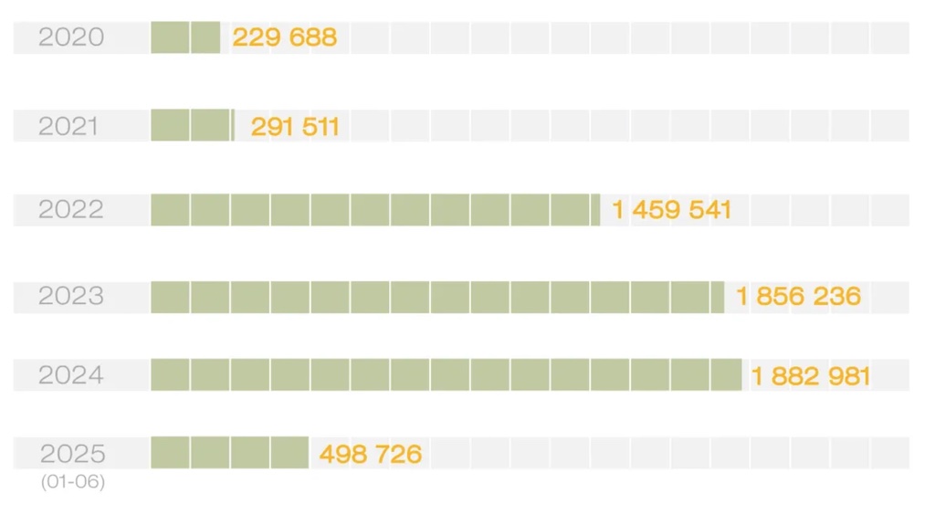 Crossing the Georgian border by Russian citizens. | Source: Georgian Interior ministery