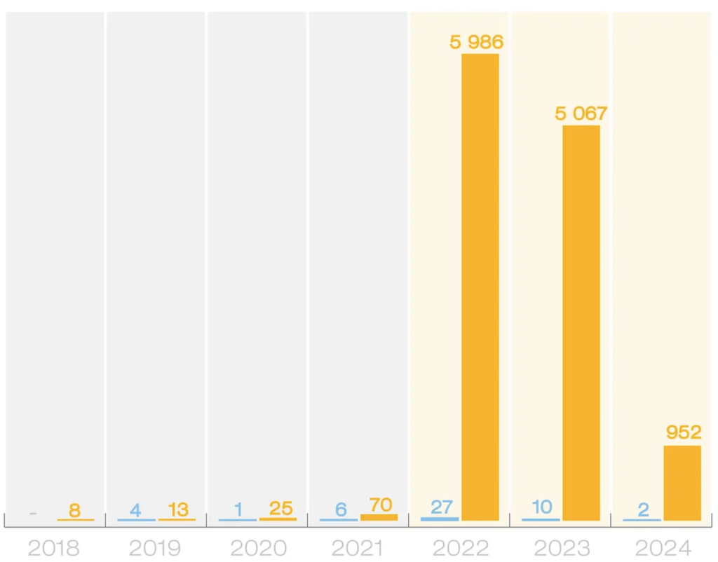 Russian business entities registered in the IT sector in Georgia