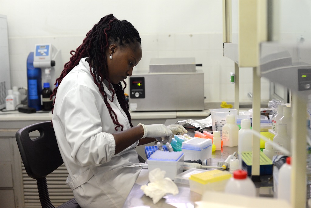 Mercy Macharian dell'Institute of Plant Sciences in Mozambico, durante estrazione di DNA da una collezione nazionale di riso. | Foto: ©Leonardo Caproni