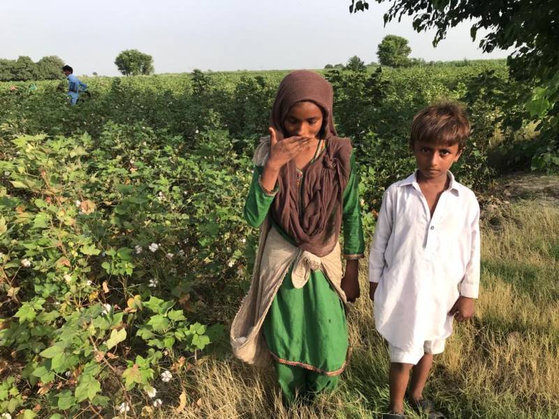 Twelve-year old Iqra Solangi stands with her younger cousin in a cotton field in the Matiari district of Sindh. | Photo: ©Shahzeb Jillani