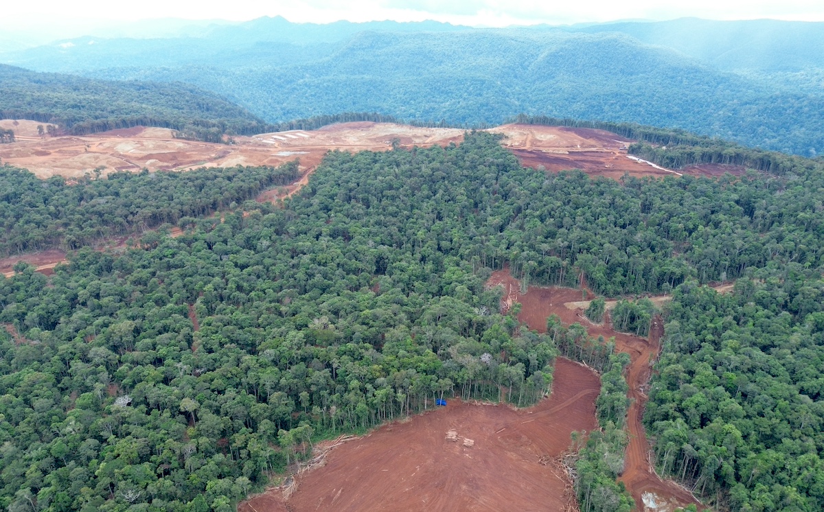 Cahaya concession (Drone photos)_Credit Didi Hardiana, NGO Puspaham