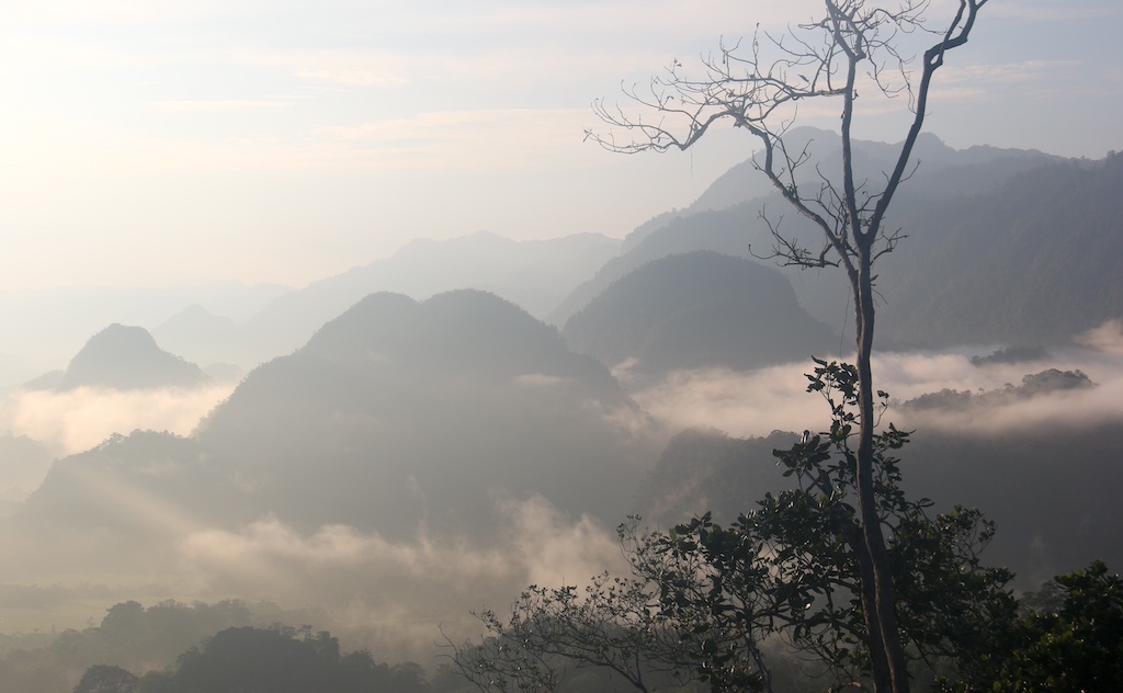 Forest around Walandawe. | Photo: ©Stefano Valentino
