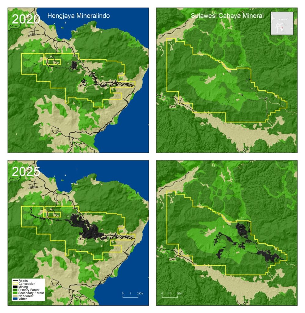 Forest cover and mining expansion within two concessions in 2020 and 2025. The left-hand panels show the Hengjaya Mineralindo concession, and the right-hand panels show the Sulawesi Cahaya Mineral concession. The top row shows conditions in 2020, and the bottom row shows conditions in 2025. Forest cover data (primary forest, secondary forest, and non-forest) were obtained from the Ministry of Forestry. The mining expansion areas (black) were mapped by The TreeMap using Planet and Sentinel-2 satellite imagery. Yellow outlines indicate concession boundaries, and roads and water features are shown for reference.